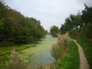 Chichester canal - I had a pleasant walk along there, lovely and quiet.