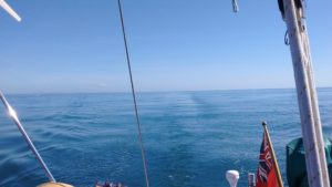 Sea smooth as silk on our sail to Chichester.